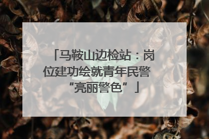 马鞍山边检站：岗位建功绘就青年民警“亮丽警色”